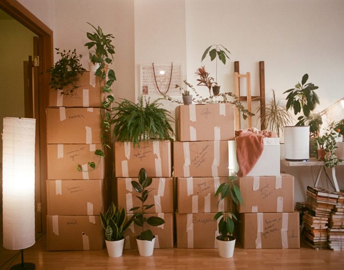 caixas em casa caixas em casa